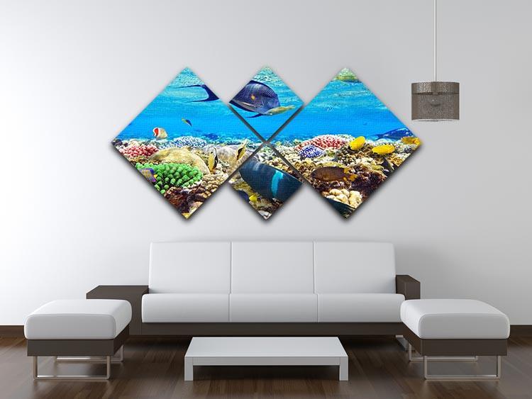 Fish in the Red Sea 4 Square Multi Panel Canvas  - Canvas Art Rocks - 3