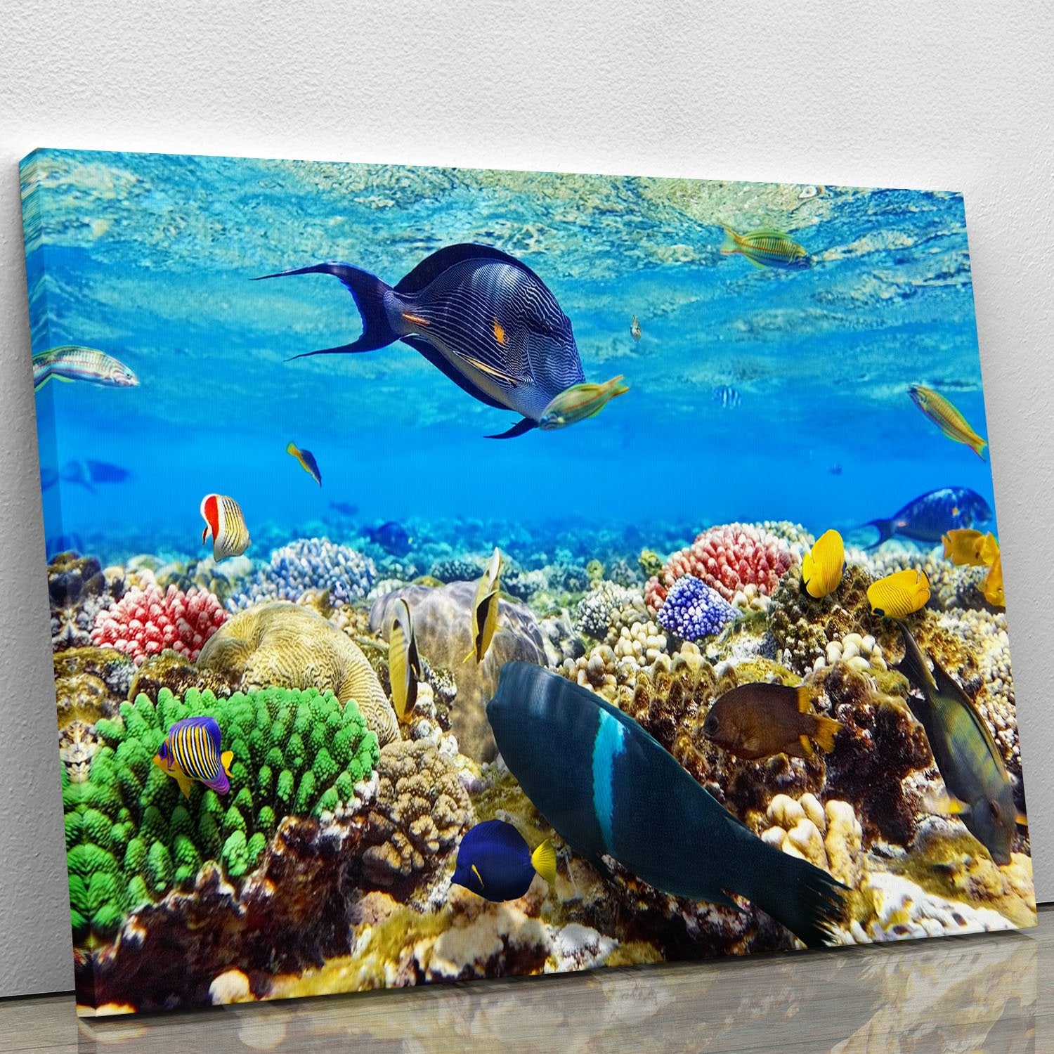 Fish in the Red Sea Canvas Print or Poster