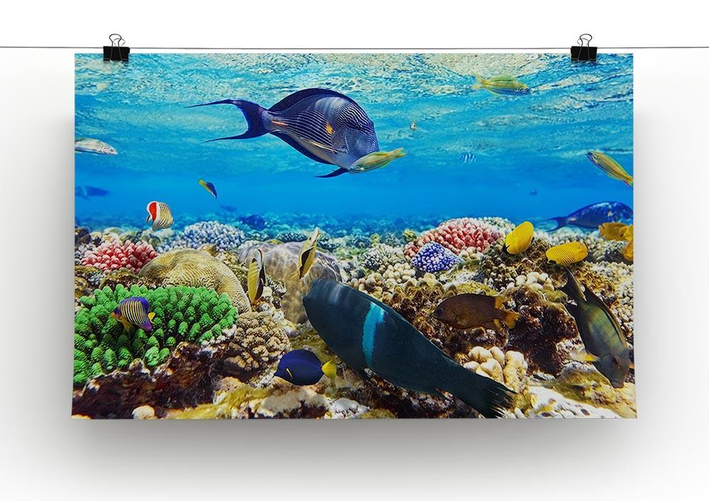 Fish in the Red Sea Canvas Print or Poster - Canvas Art Rocks - 2