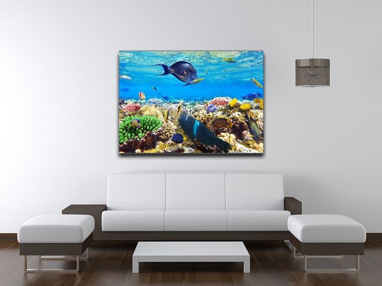 Fish in the Red Sea Canvas Print or Poster - Canvas Art Rocks - 4