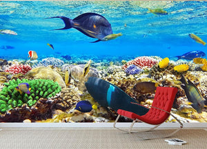 Fish in the Red Sea Wall Mural Wallpaper - Canvas Art Rocks - 3