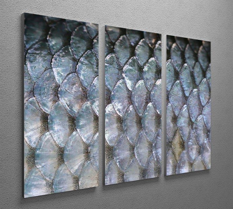 Fish scales 3 Split Panel Canvas Print - Canvas Art Rocks - 2