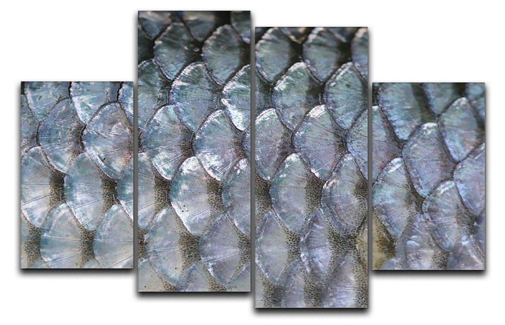 Fish scales 4 Split Panel Canvas  - Canvas Art Rocks - 1