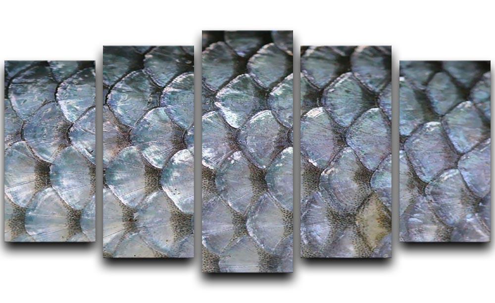 Fish scales 5 Split Panel Canvas  - Canvas Art Rocks - 1