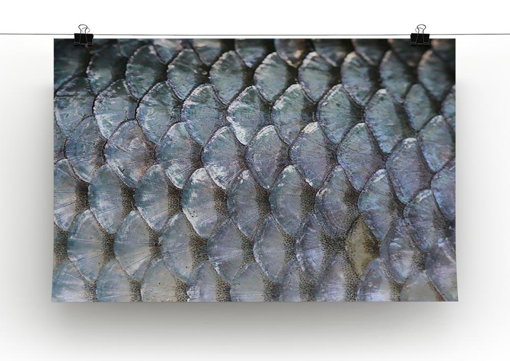 Fish scales Canvas Print or Poster - Canvas Art Rocks - 2