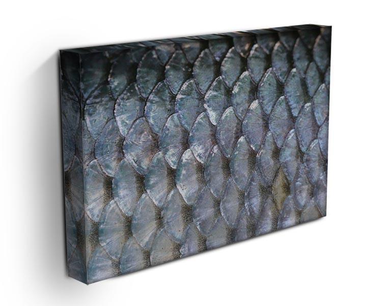 Fish scales Canvas Print or Poster - Canvas Art Rocks - 3