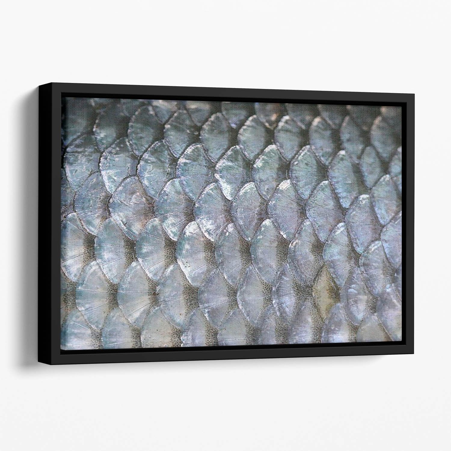 Fish scales Floating Framed Canvas