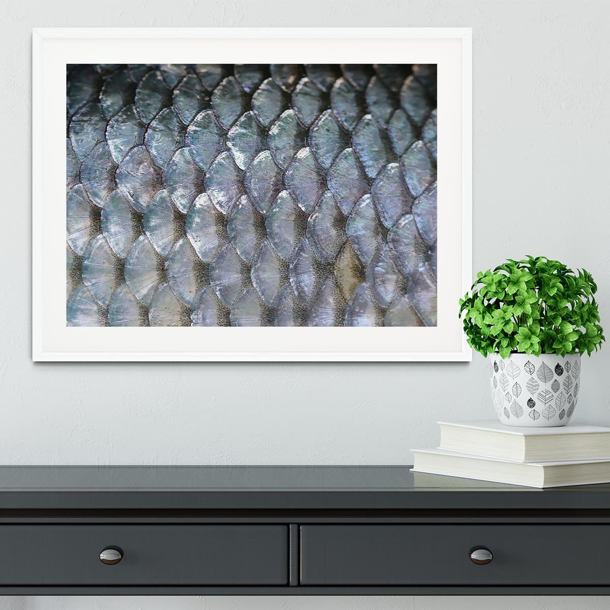 Fish scales Framed Print - Canvas Art Rocks - 5