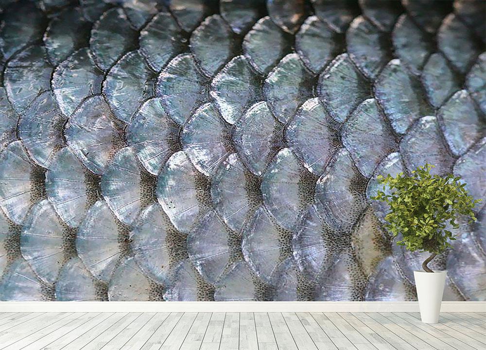 Fish scales Wall Mural Wallpaper - Canvas Art Rocks - 4