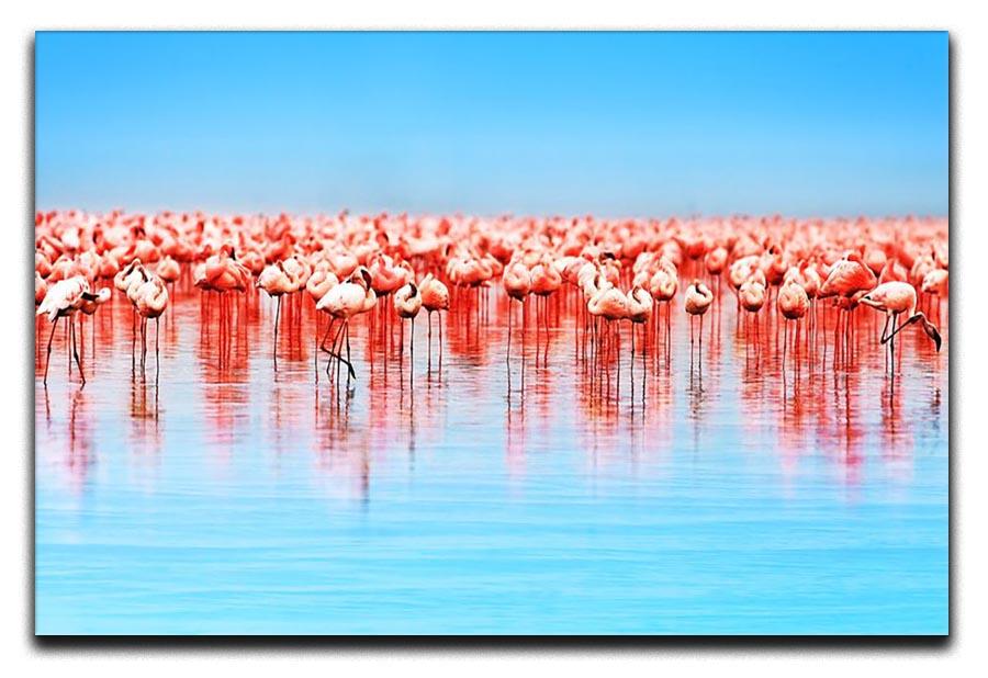 Flamingo birds in the lake Nakuru Canvas Print or Poster - Canvas Art Rocks - 1