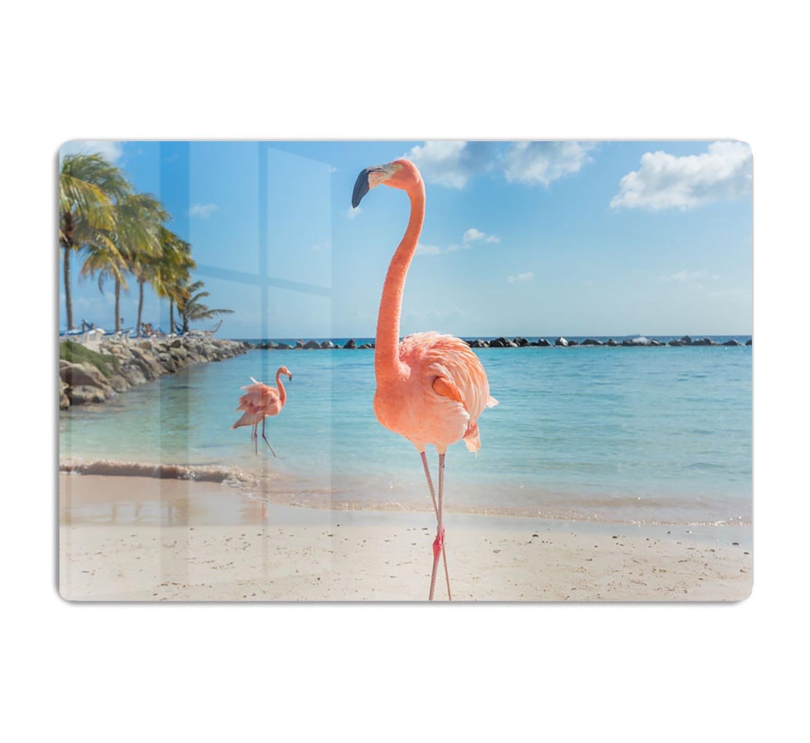 Flamingos on the Aruba beach HD Metal Print - Canvas Art Rocks - 1
