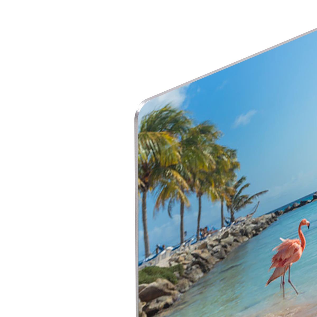 Flamingos on the Aruba beach HD Metal Print - Canvas Art Rocks - 4