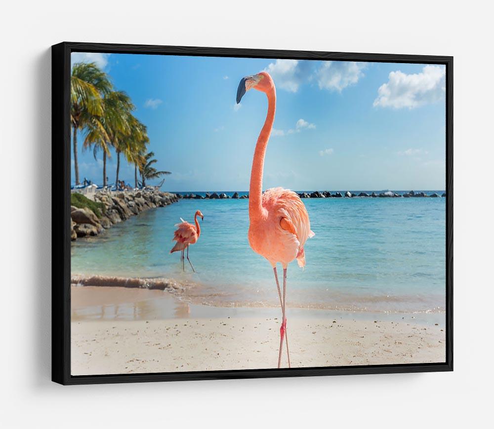 Flamingos on the Aruba beach HD Metal Print - Canvas Art Rocks - 6