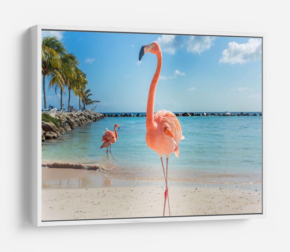 Flamingos on the Aruba beach HD Metal Print - Canvas Art Rocks - 7
