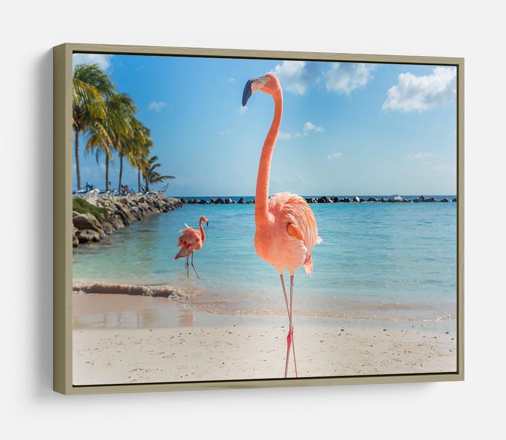 Flamingos on the Aruba beach HD Metal Print - Canvas Art Rocks - 8