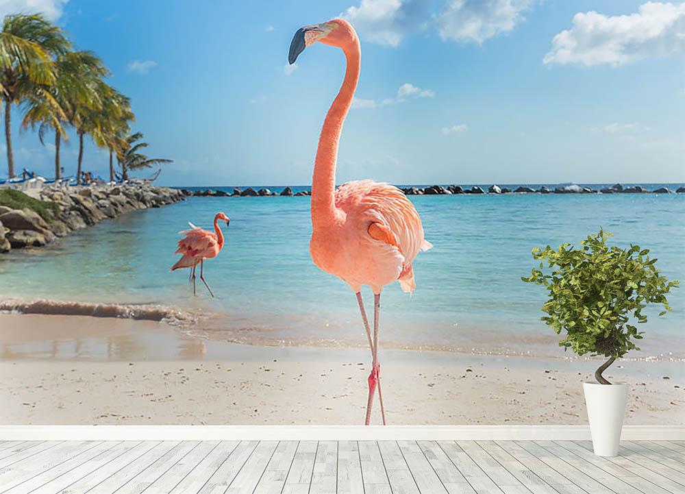 Aruba Paradise by bazo2k on DeviantArt
