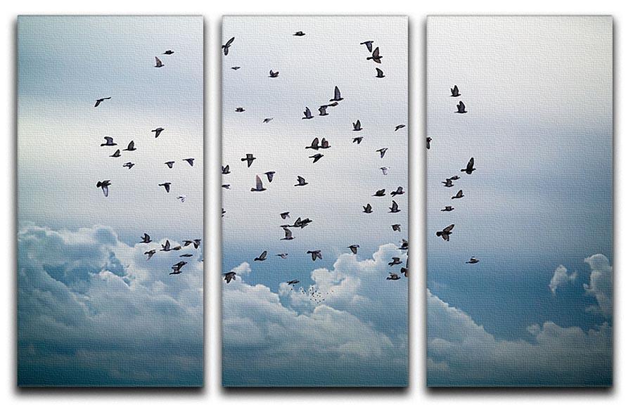 Flock of birds flying in the sky 3 Split Panel Canvas Print - Canvas Art Rocks - 1