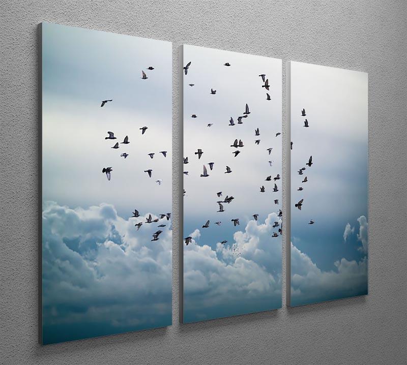Flock of birds flying in the sky 3 Split Panel Canvas Print - Canvas Art Rocks - 2