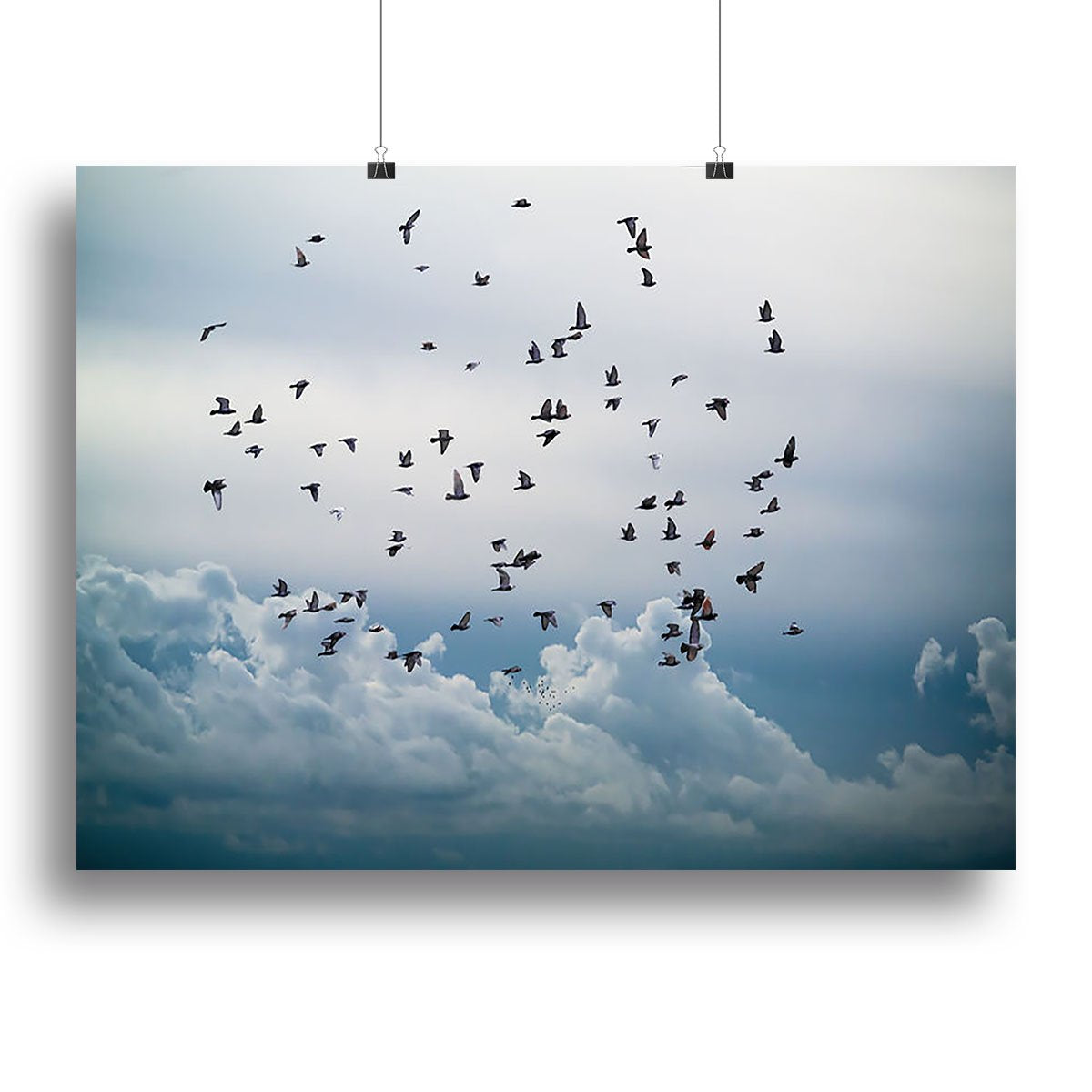 Flock of birds flying in the sky Canvas Print or Poster