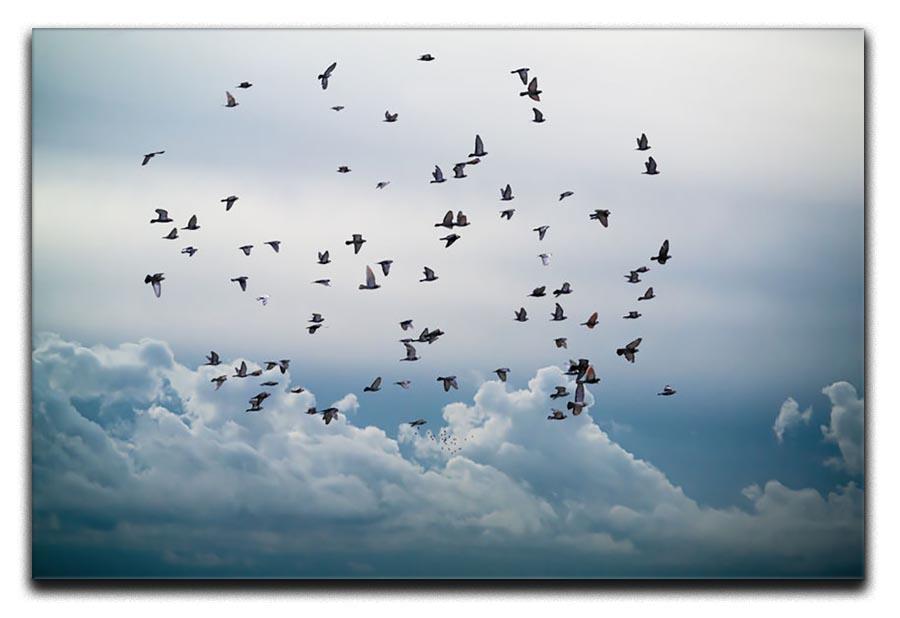 Flock of birds flying in the sky Canvas Print or Poster - Canvas Art Rocks - 1