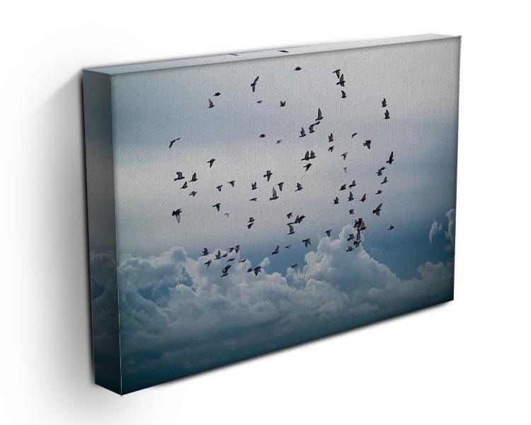 Flock of birds flying in the sky Canvas Print or Poster - Canvas Art Rocks - 3