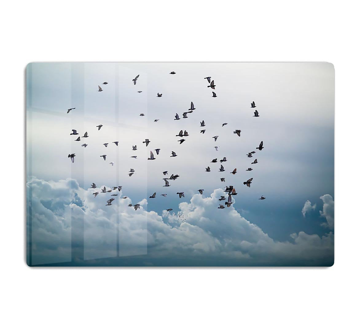 Flock of birds flying in the sky HD Metal Print - Canvas Art Rocks - 1