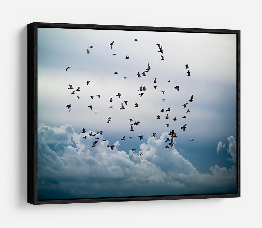 Flock of birds flying in the sky HD Metal Print - Canvas Art Rocks - 6