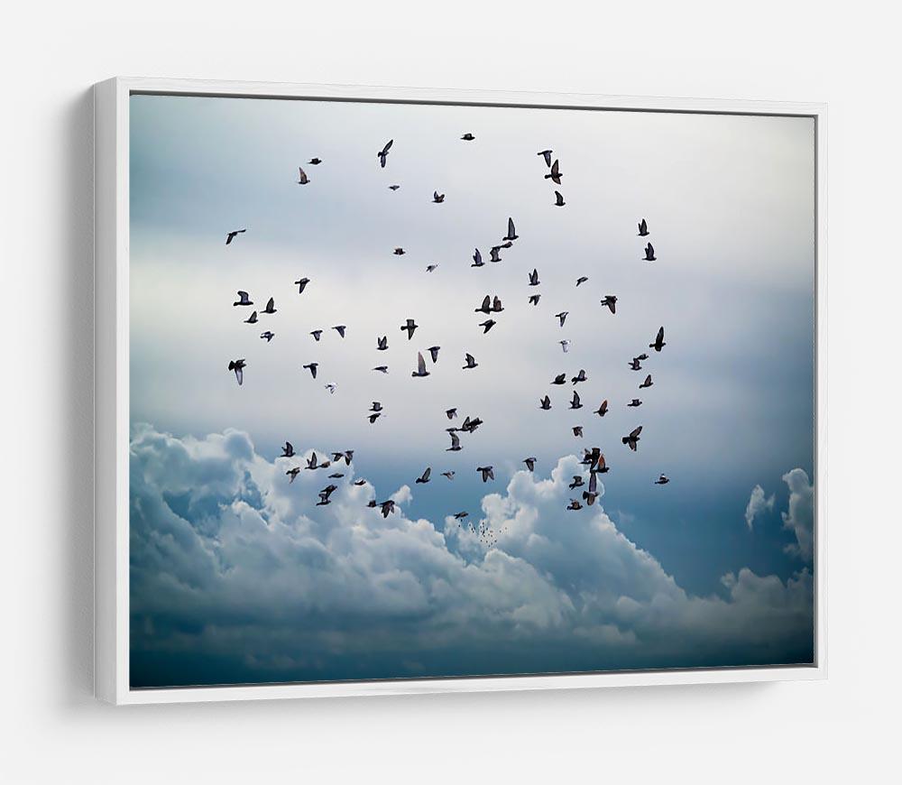 Flock of birds flying in the sky HD Metal Print - Canvas Art Rocks - 7
