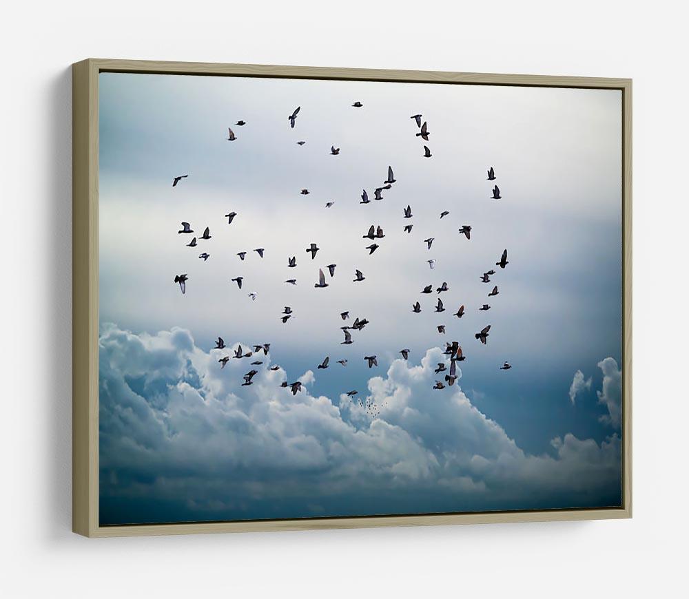 Flock of birds flying in the sky HD Metal Print - Canvas Art Rocks - 8
