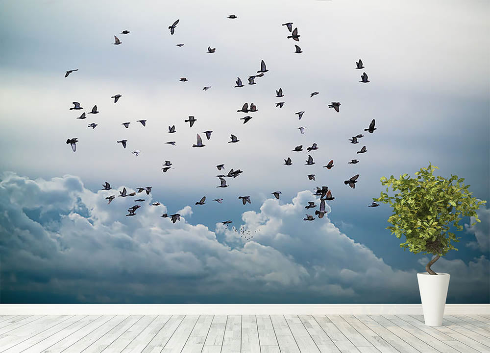 Flock of birds flying in the sky Wall Mural Wallpaper - Canvas Art Rocks - 4