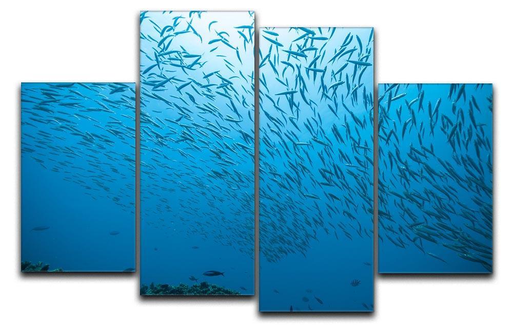 Flock of fish flowing 4 Split Panel Canvas  - Canvas Art Rocks - 1
