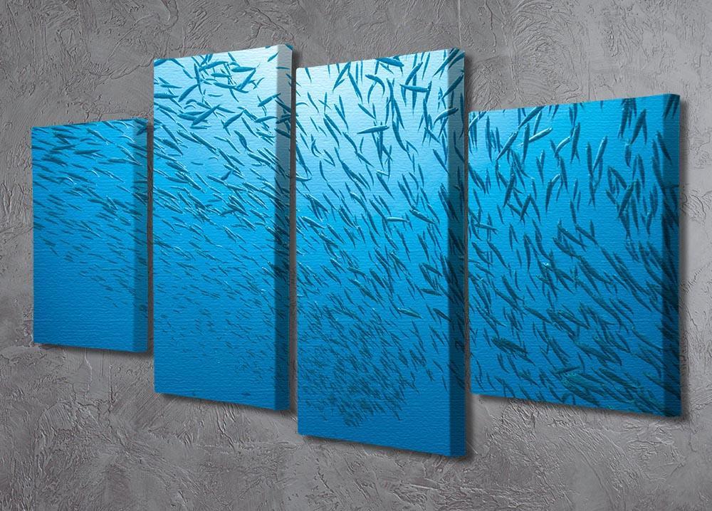 Flock of fish flowing 4 Split Panel Canvas  - Canvas Art Rocks - 2