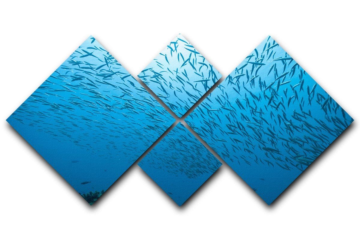 Flock of fish flowing 4 Square Multi Panel Canvas  - Canvas Art Rocks - 1