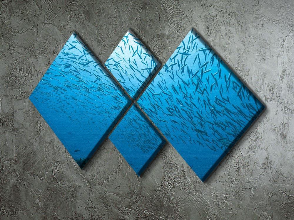 Flock of fish flowing 4 Square Multi Panel Canvas  - Canvas Art Rocks - 2