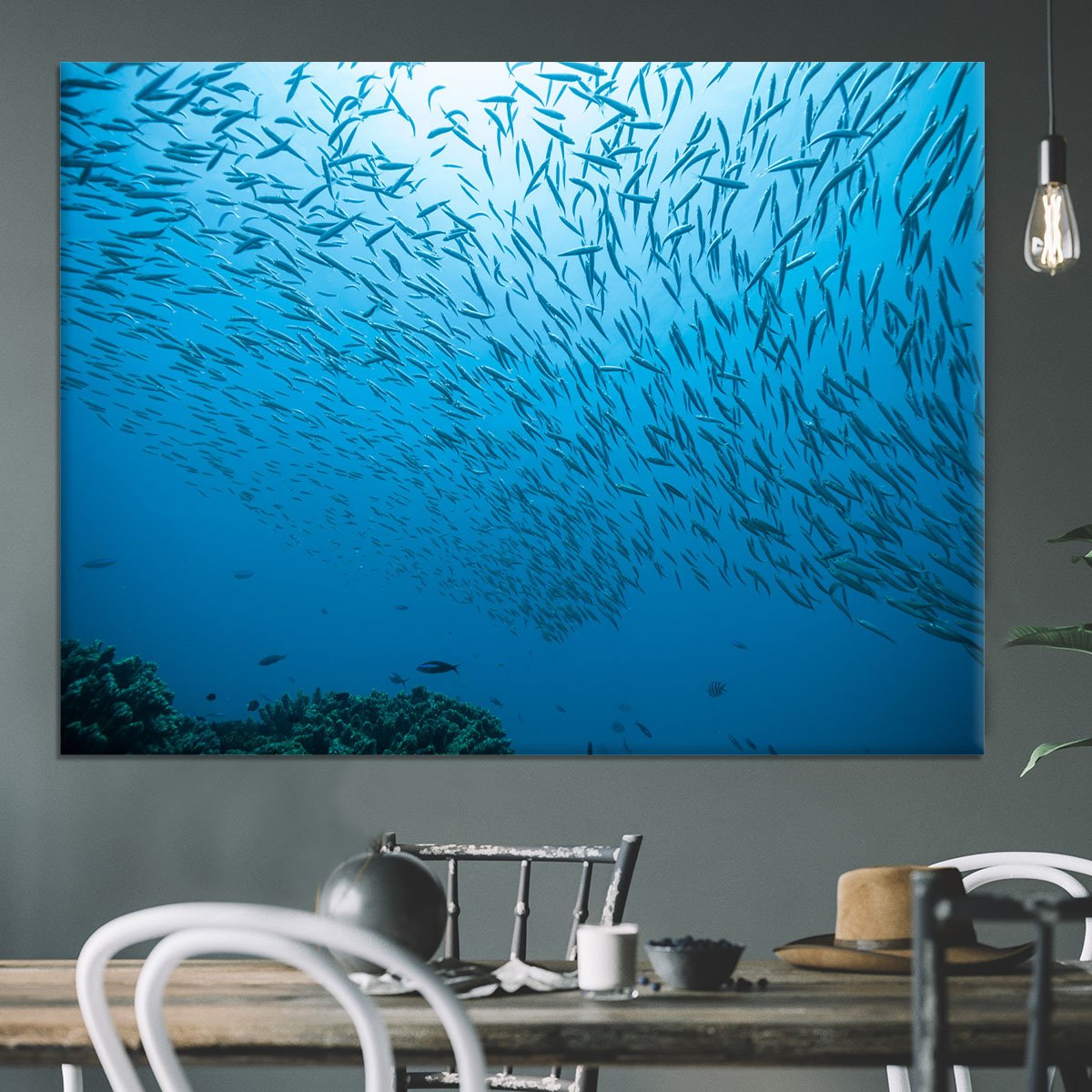 Flock of fish flowing Canvas Print or Poster