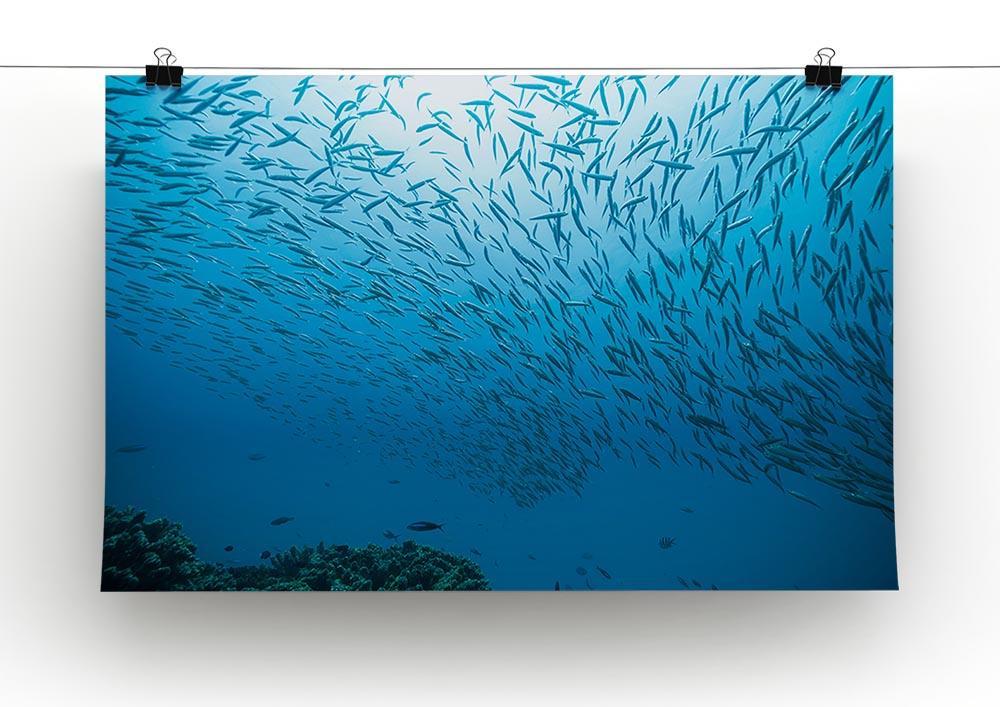 Flock of fish flowing Canvas Print or Poster - Canvas Art Rocks - 2