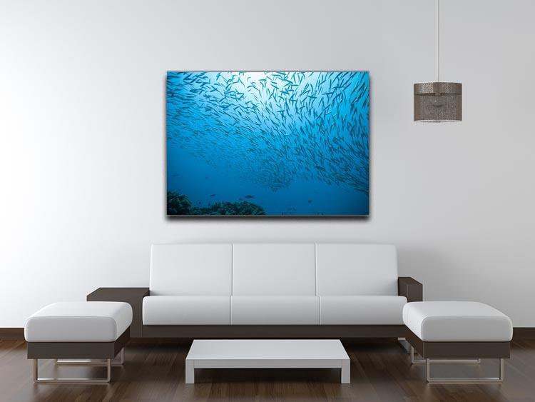 Flock of fish flowing Canvas Print or Poster - Canvas Art Rocks - 4