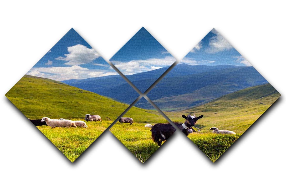 Flock of sheep and goat in the mountains 4 Square Multi Panel Canvas - Canvas Art Rocks - 1