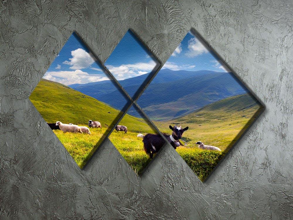 Flock of sheep and goat in the mountains 4 Square Multi Panel Canvas - Canvas Art Rocks - 2