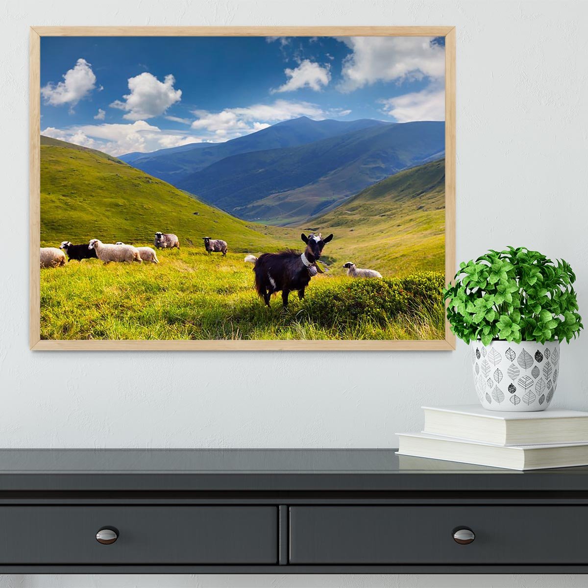 Flock of sheep and goat in the mountains Framed Print - Canvas Art Rocks - 4