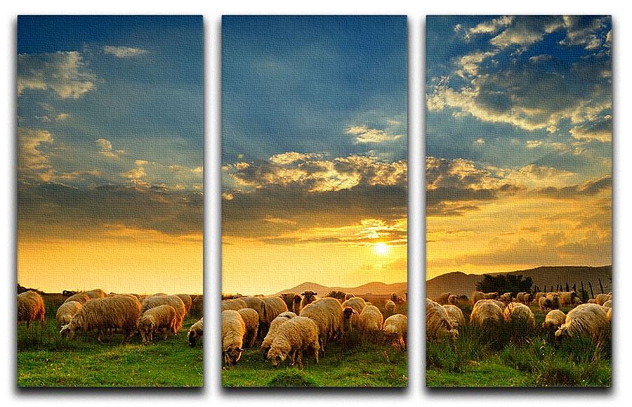 Flock of sheep grazing in a hill at sunset 3 Split Panel Canvas Print - Canvas Art Rocks - 1