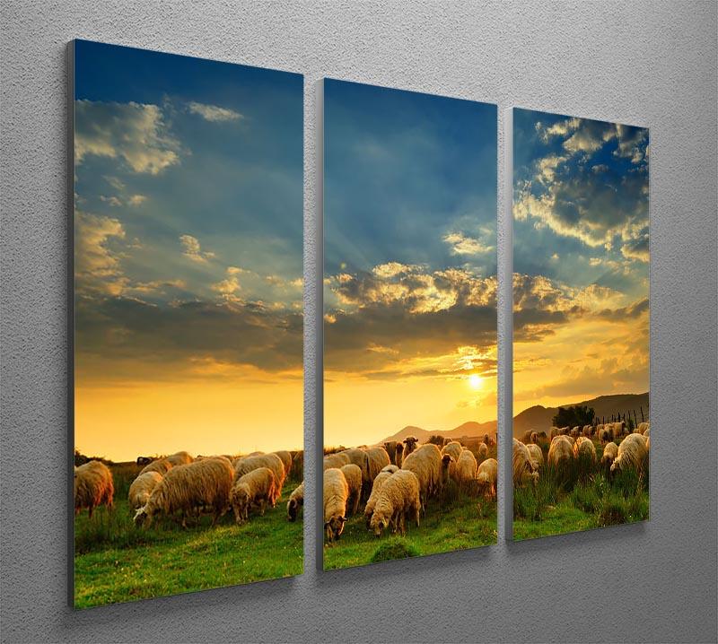 Flock of sheep grazing in a hill at sunset 3 Split Panel Canvas Print - Canvas Art Rocks - 2