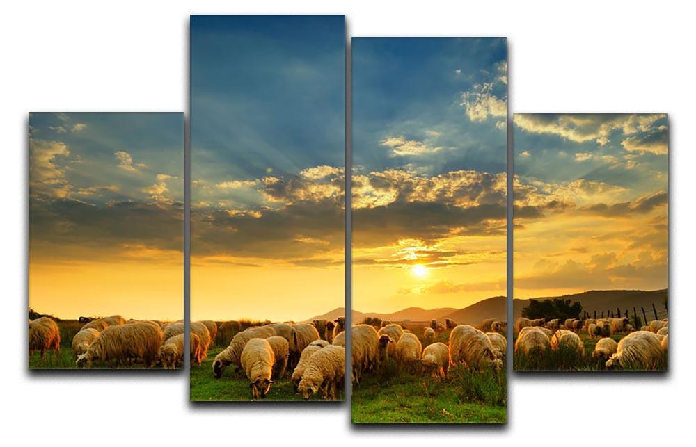 Flock of sheep grazing in a hill at sunset 4 Split Panel Canvas - Canvas Art Rocks - 1