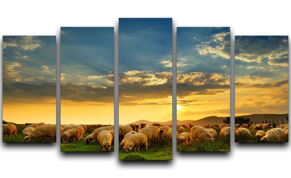 Flock of sheep grazing in a hill at sunset 5 Split Panel Canvas - Canvas Art Rocks - 1