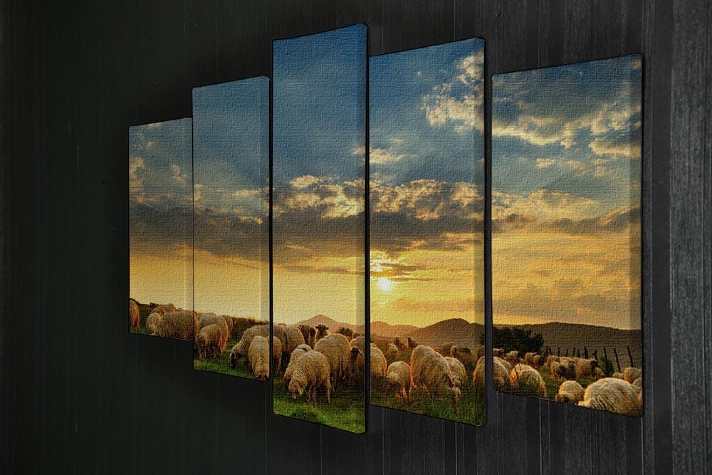 Flock of sheep grazing in a hill at sunset 5 Split Panel Canvas - Canvas Art Rocks - 2