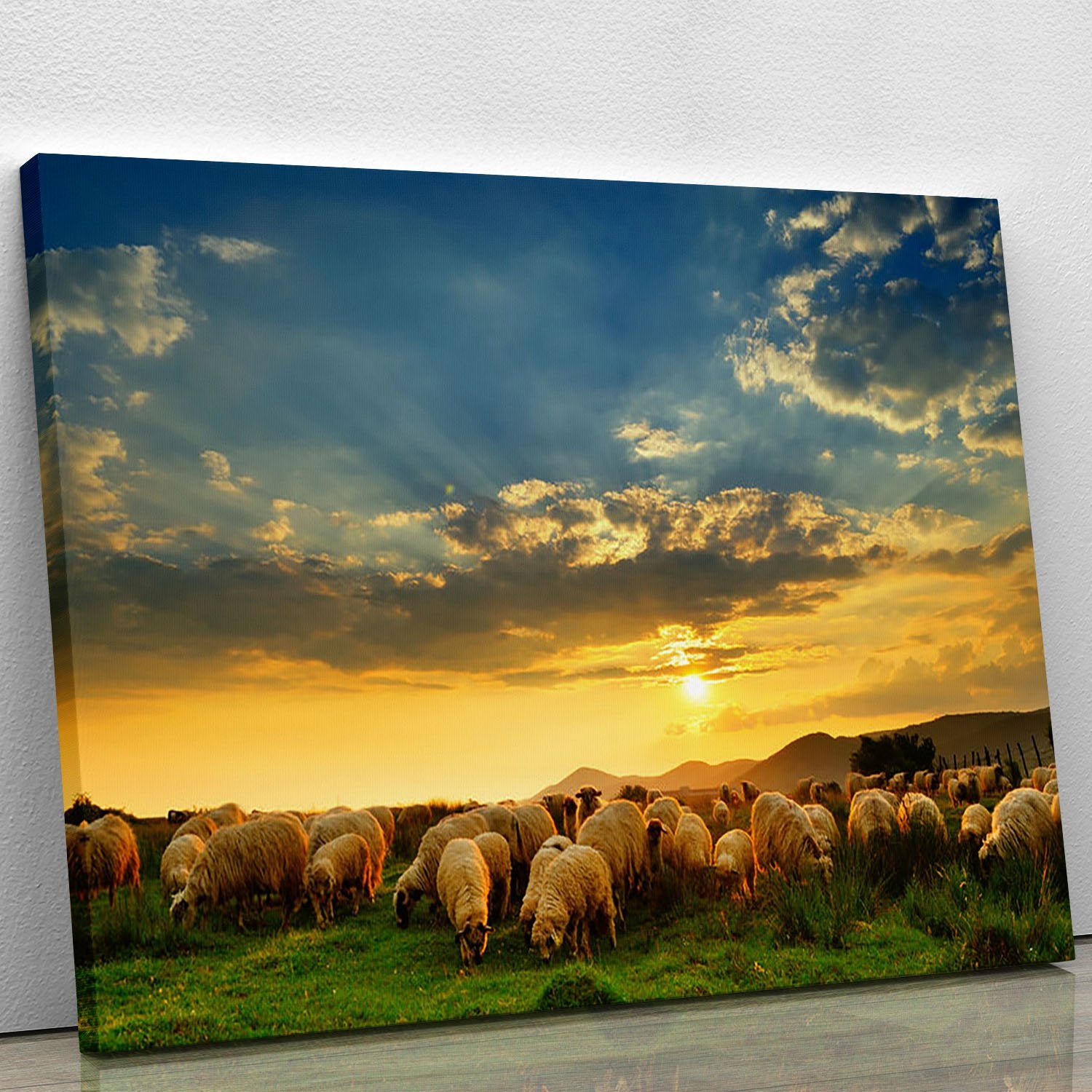 Flock of sheep grazing in a hill at sunset Canvas Print or Poster