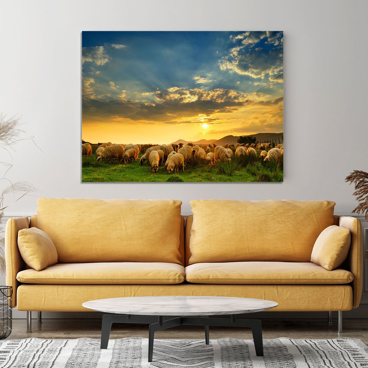 Flock of sheep grazing in a hill at sunset Canvas Print or Poster