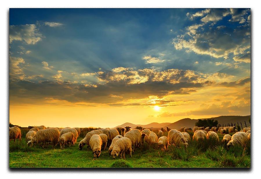 Flock of sheep grazing in a hill at sunset Canvas Print or Poster - Canvas Art Rocks - 1