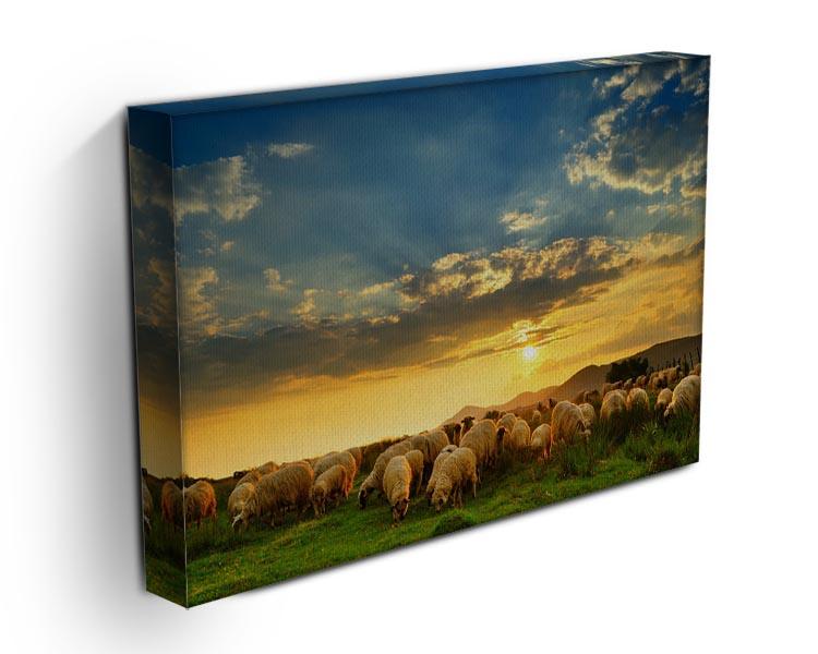 Flock of sheep grazing in a hill at sunset Canvas Print or Poster - Canvas Art Rocks - 3