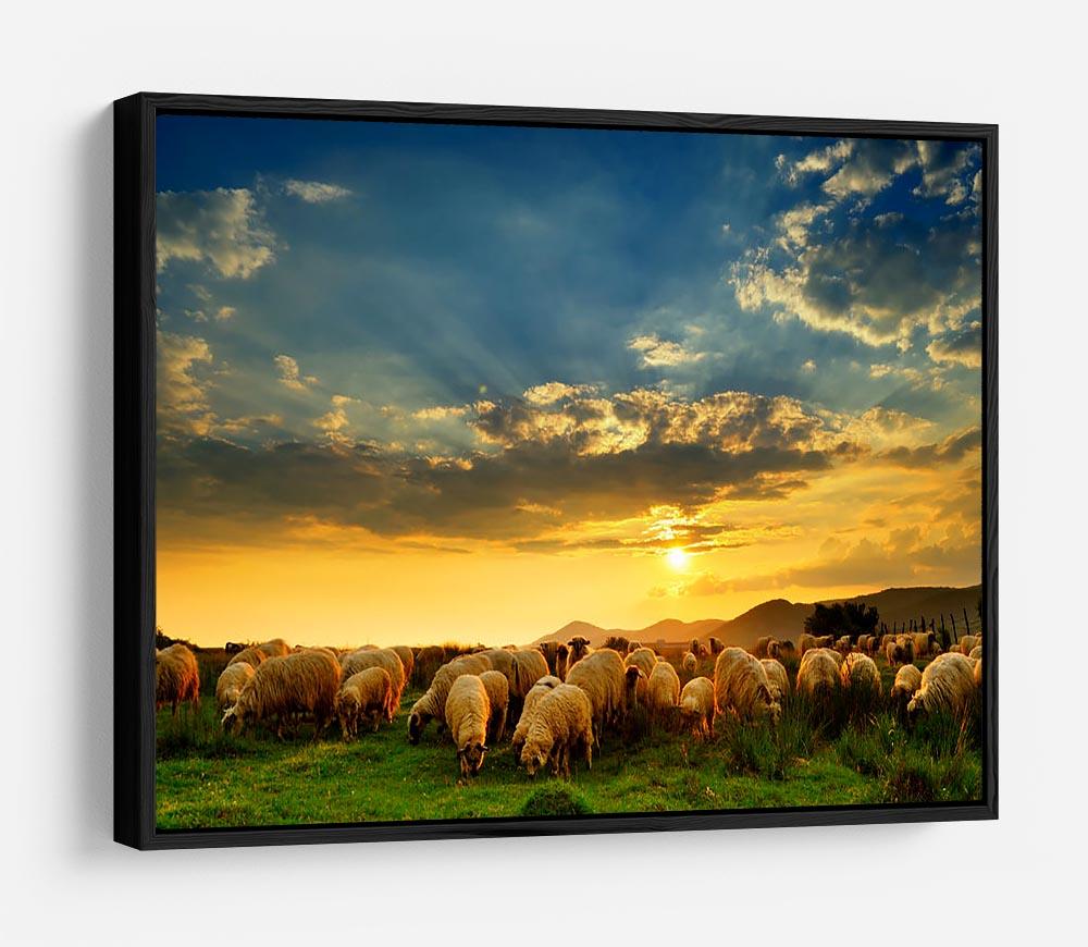 Flock of sheep grazing in a hill at sunset HD Metal Print - Canvas Art Rocks - 6
